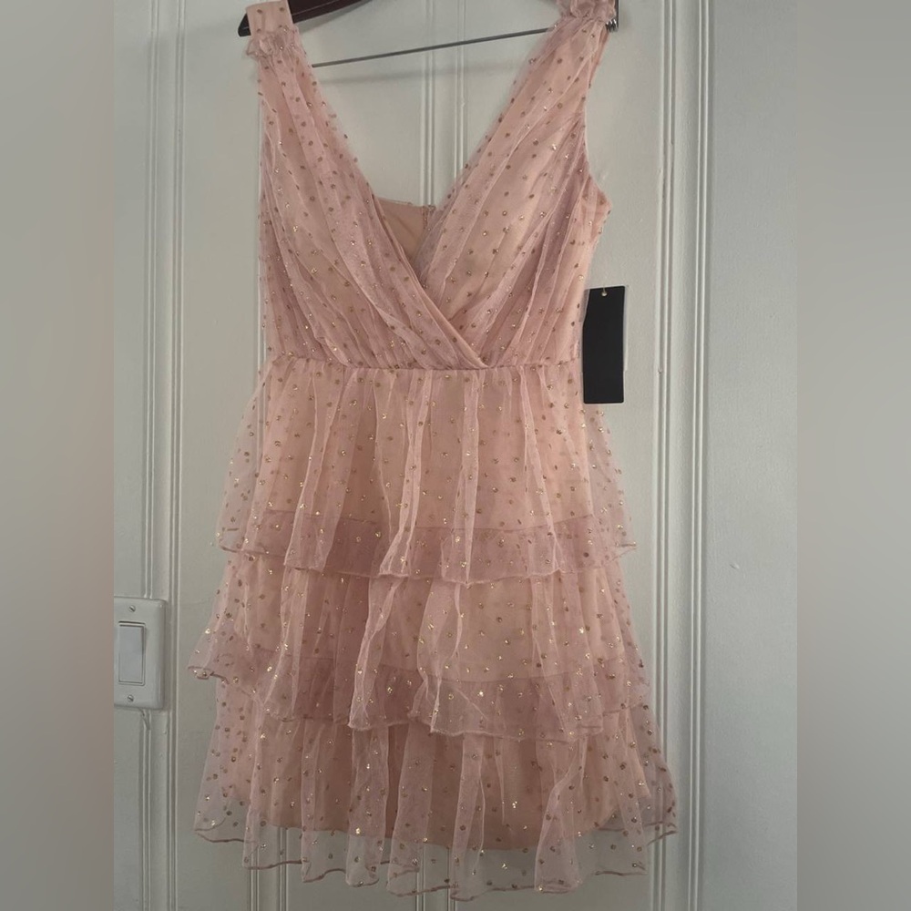 Mini Ruffled Tiered Tulle Dress - Picture 9 of 13